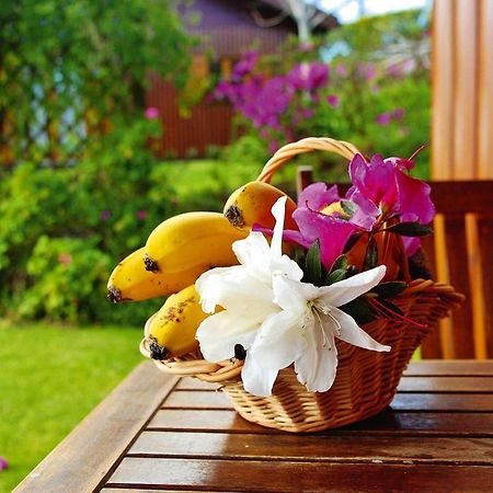 Holiday Homes Quinta Dos Curubas, Vila Franca Do Campo, Sao Miguel, Azores Eksteriør billede