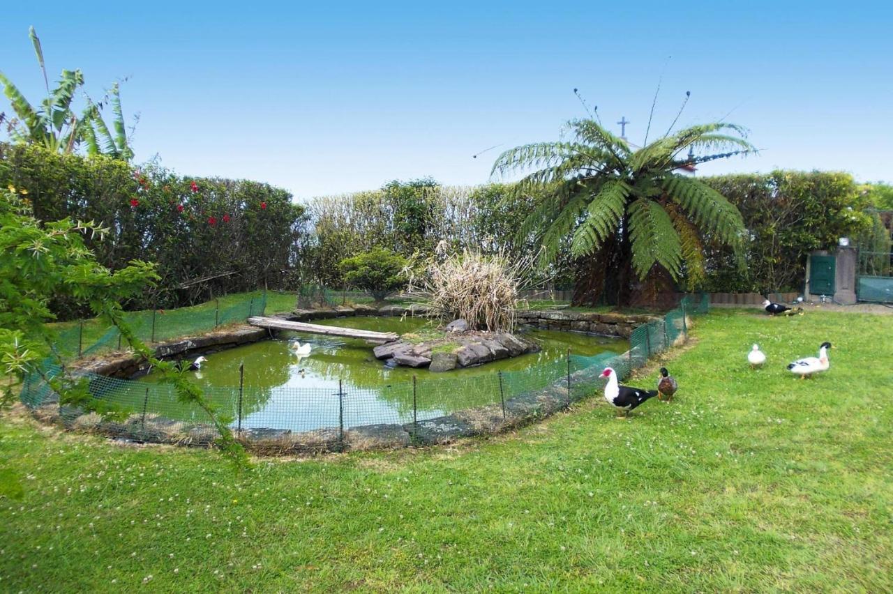 Holiday Homes Quinta Dos Curubas, Vila Franca Do Campo, Sao Miguel, Azores Eksteriør billede