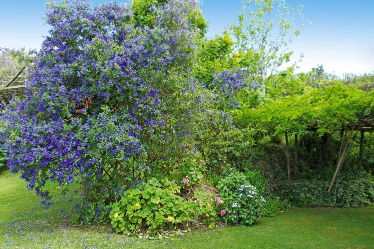 Holiday Homes Quinta Dos Curubas, Vila Franca Do Campo, Sao Miguel, Azores Eksteriør billede