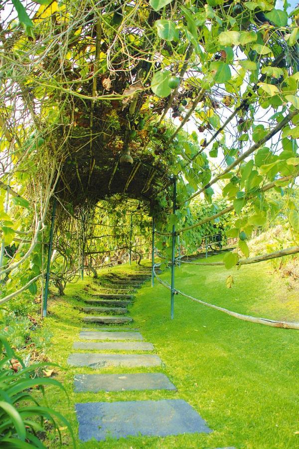 Holiday Homes Quinta Dos Curubas, Vila Franca Do Campo, Sao Miguel, Azores Eksteriør billede